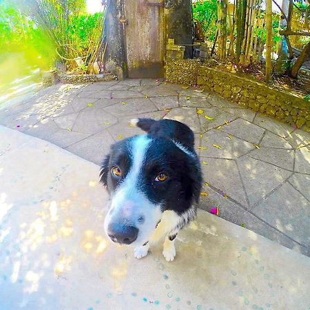 Suara Ombak Cottages Bingin Beach Bali Пекату Экстерьер фото